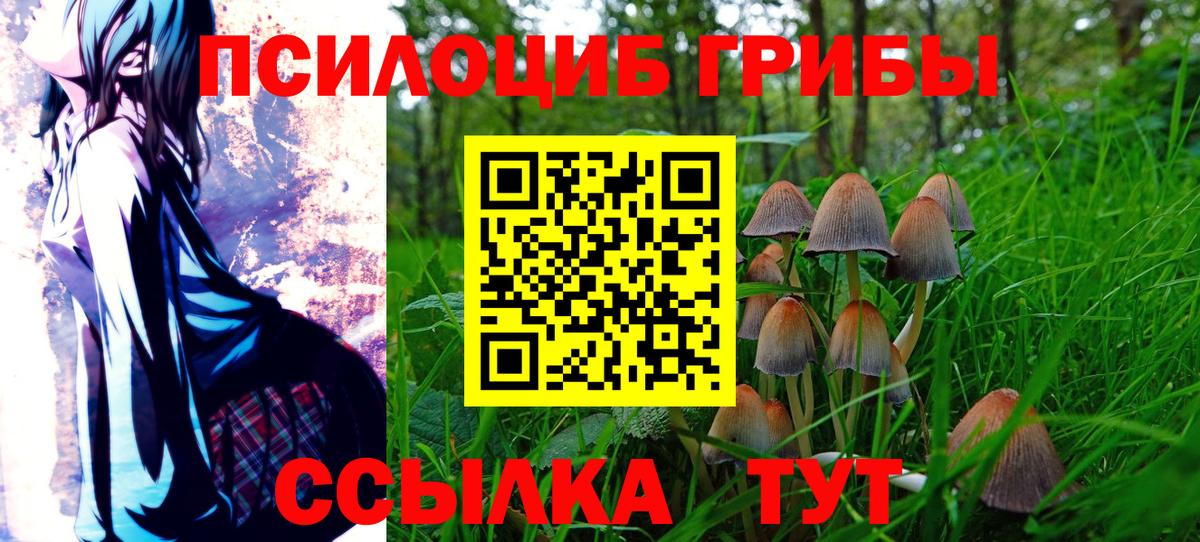 Псилоцибиновые грибы Cubensis  сколько стоит  Александров  Вход с VPN  Галлюциногенные грибы Magic Shrooms 